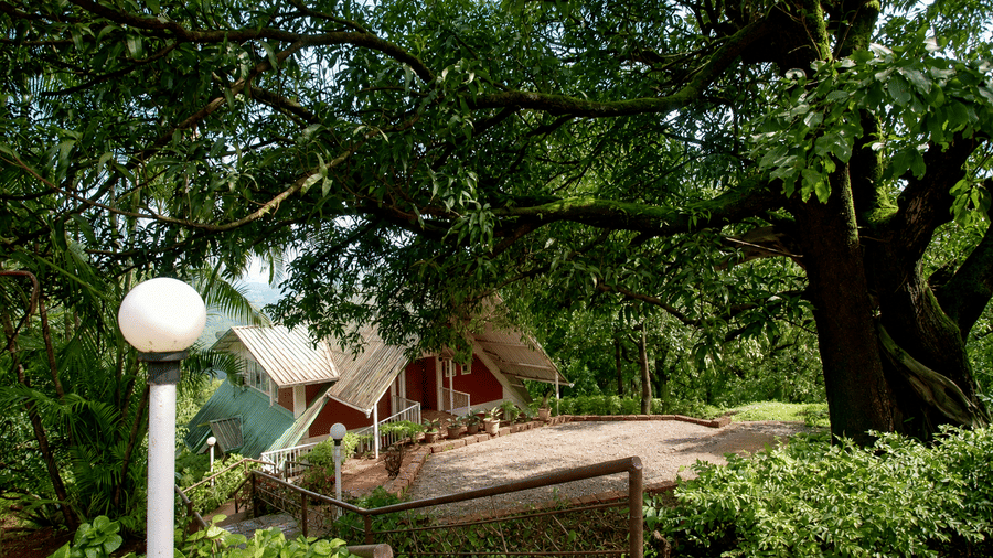 Chalet at Wind Chalet partially visible through mature tree branches, with a paved pathway, garden, and outdoor lamp in the foreground.