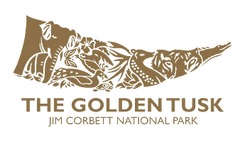 Golden tusk logo