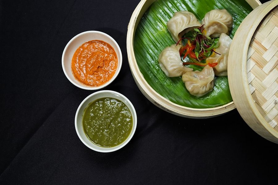 alt-text momos-4935232 1920