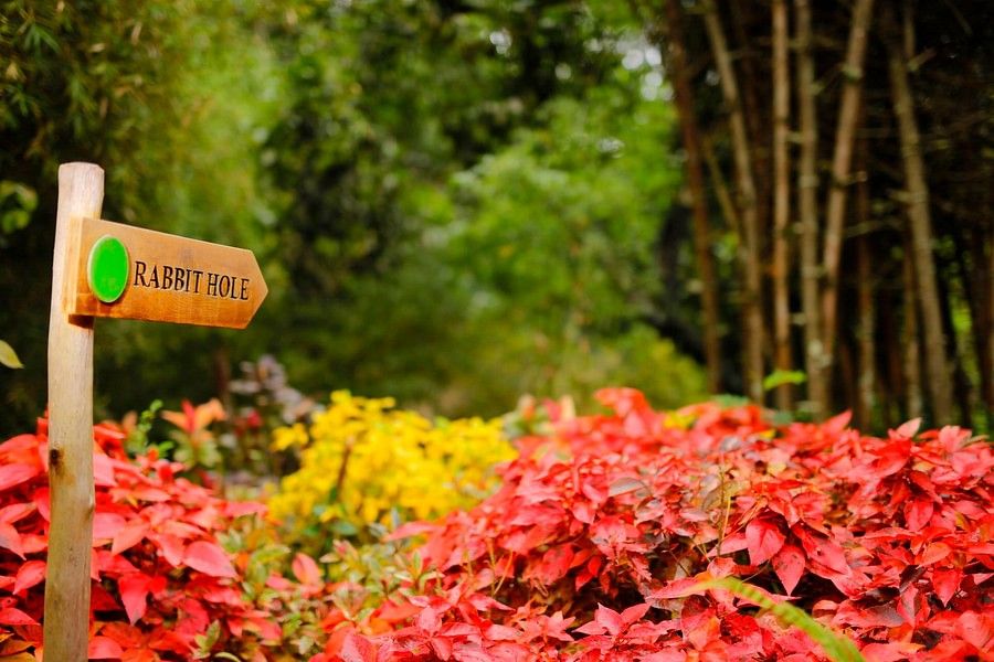 Garden, Amanvana Resort And Spa, Coorg Resort