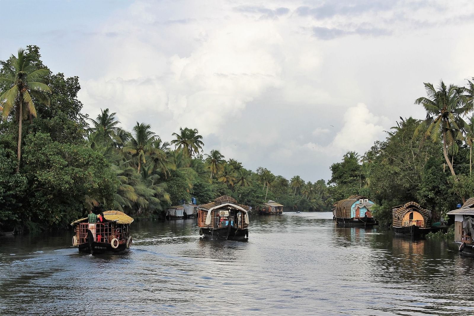 many houseboats in a waterbody with trees on either side