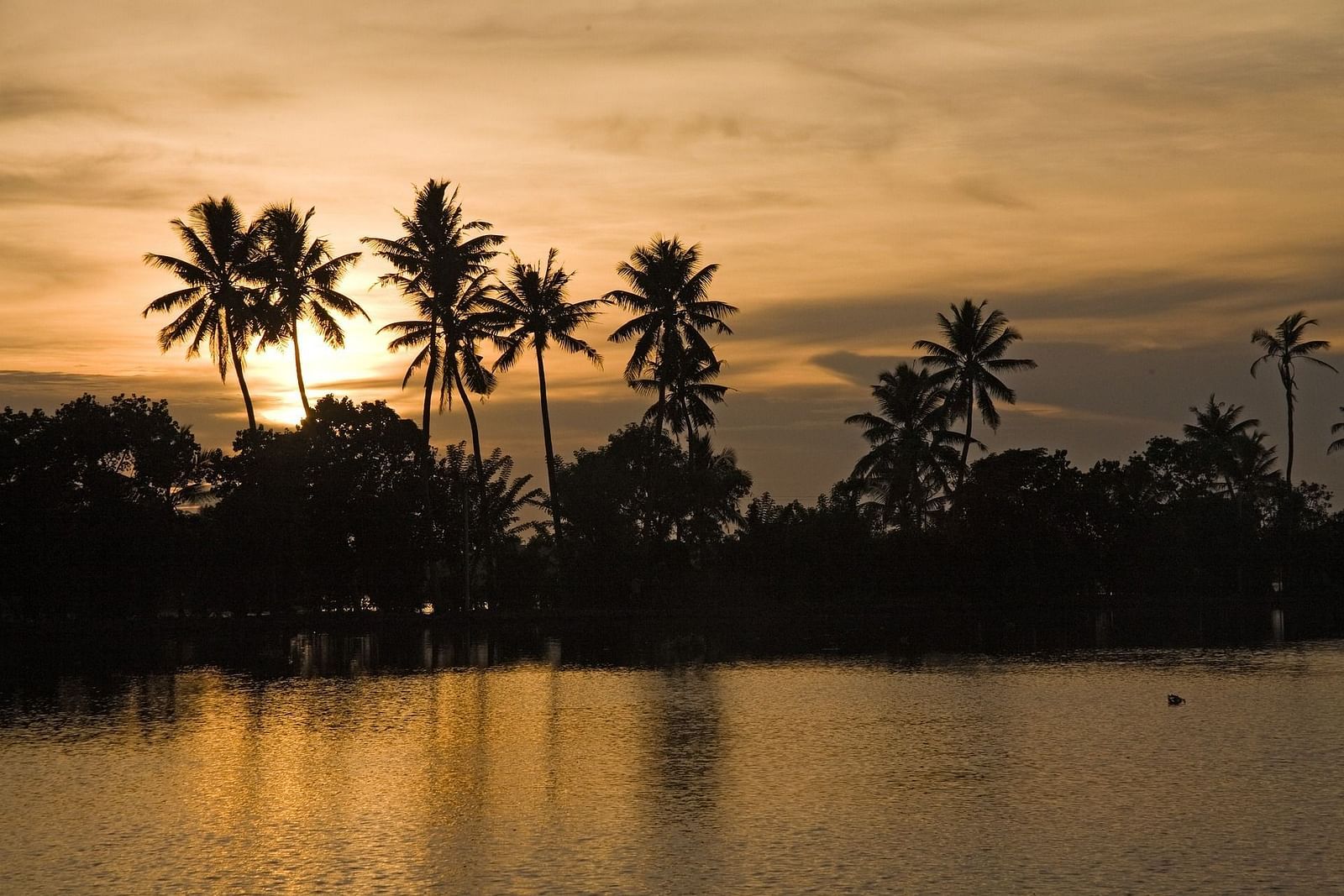 an overview of a waterbody with coconut trees and the sun in the background