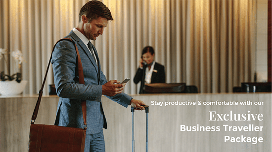 Exclusive Business package image