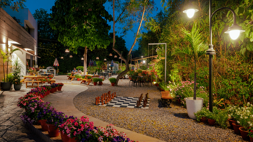 large chess set outside under the neem