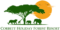 logo (11)