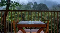 Rooms in Wayanad  Best Resorts in Wayanad  Nature Resorts in Vythiri 18
