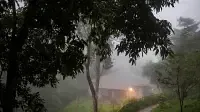 Rooms in Wayanad  Best Resorts in Wayanad  Nature Resorts in Vythiri 28