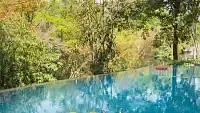 A close-up of a pool shows trees reflecting in the water, emphasising the natural setting. - Abad Brookside Lakkidi, Wayanad