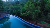 A curved pool edge overlooks a dense forest, showcasing a scenic view at Abad Brookside Lakkidi, Wayanad.