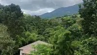 Rooms in Wayanad  Best Resorts in Wayanad  Nature Resorts in Vythiri 17