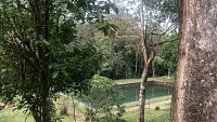 Rooms in Wayanad  Best Resorts in Wayanad  Nature Resorts in Vythiri 32