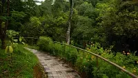 Rooms in Wayanad   Best Resorts in Wayanad  Nature Resorts in Vythiri 36