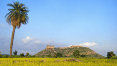 Tijara Fort-Palace is seen atop a hill amidst a yellow field and greenery under a clear blue sky in Alwar.