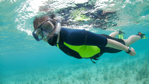 A person snorkeling in clear waters surrounded by marine life.