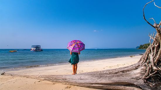 Elephant Beach