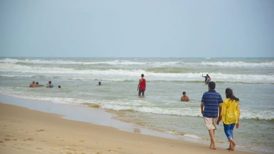 alt-text paradise beach