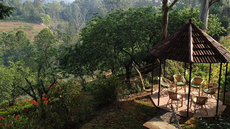 Seats arranged in a circle under a cabana with green landscape in the background - Wallwood Garden - 19th Century, Coonoor