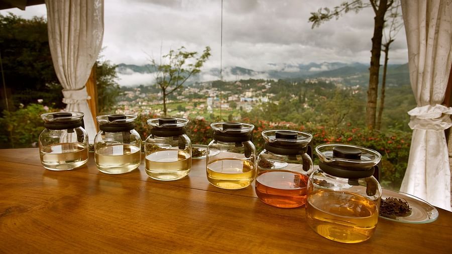 Different types of tea in a glass container on a table - Wallwood Garden - 19th Century, Coonoor