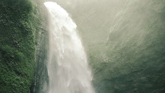 Waterfalls surrounded by greenery