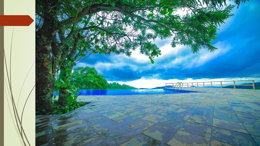 A tree and a Swimming Pool at Grand Palace, Yercaud