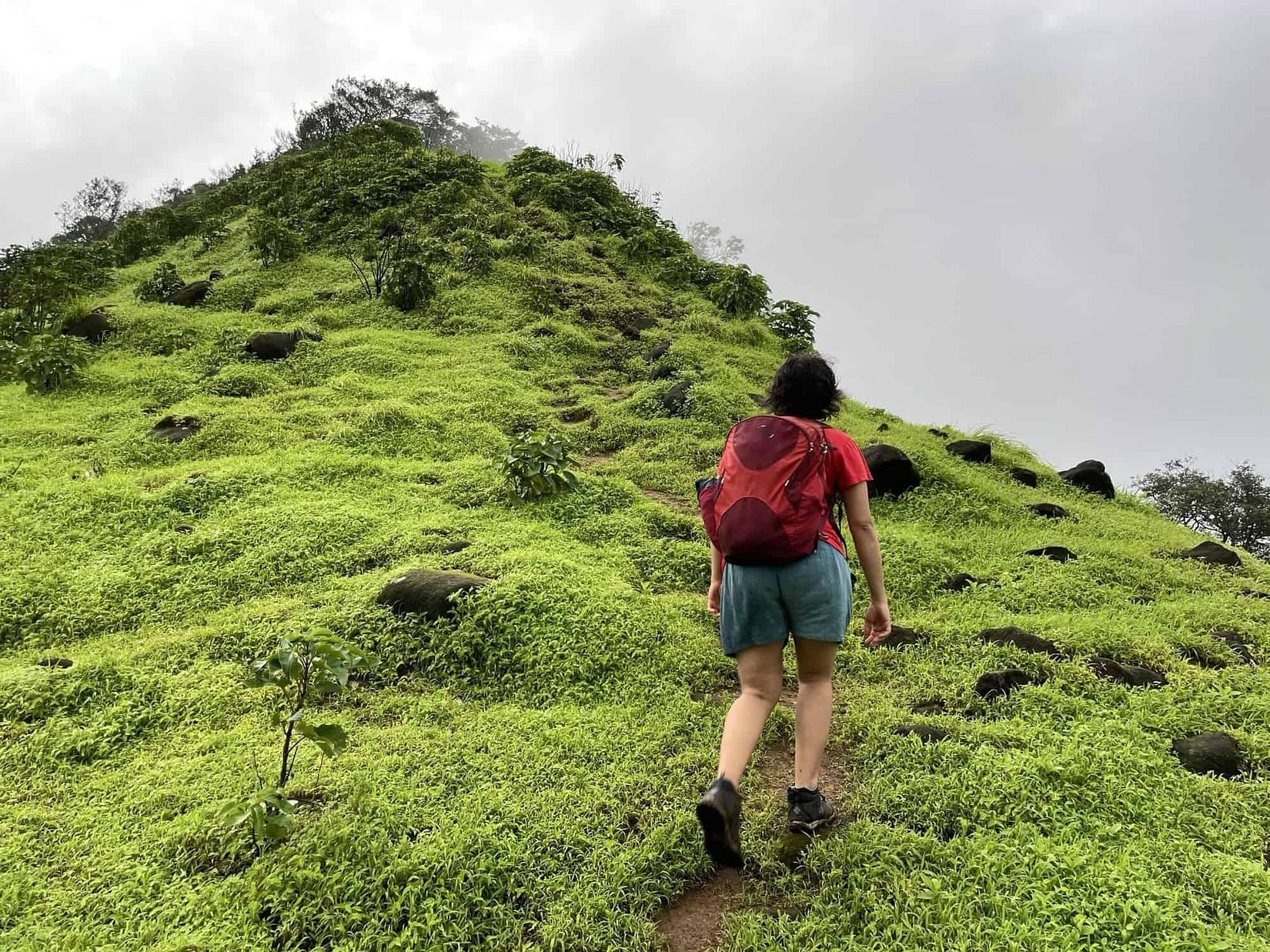 A person hiking through the green monsoon hills in day time
