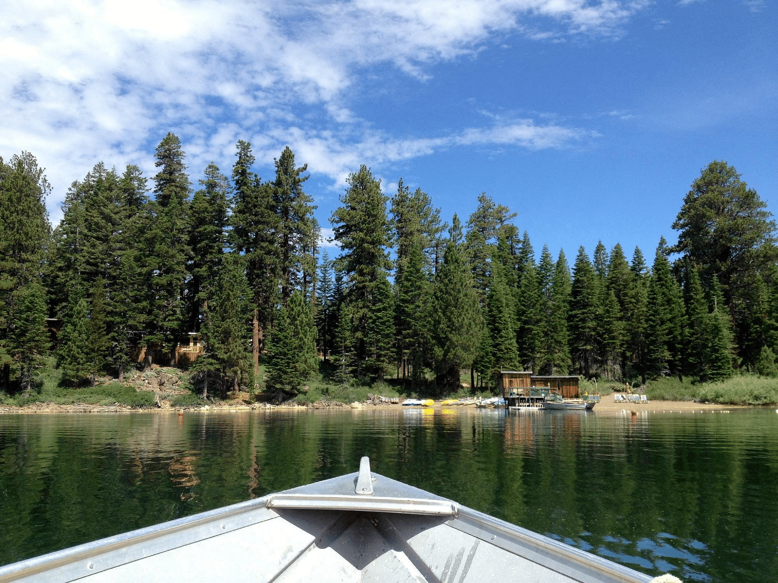A boat on a calm lake faces a shoreline with tall pine trees and a clear blue sky
