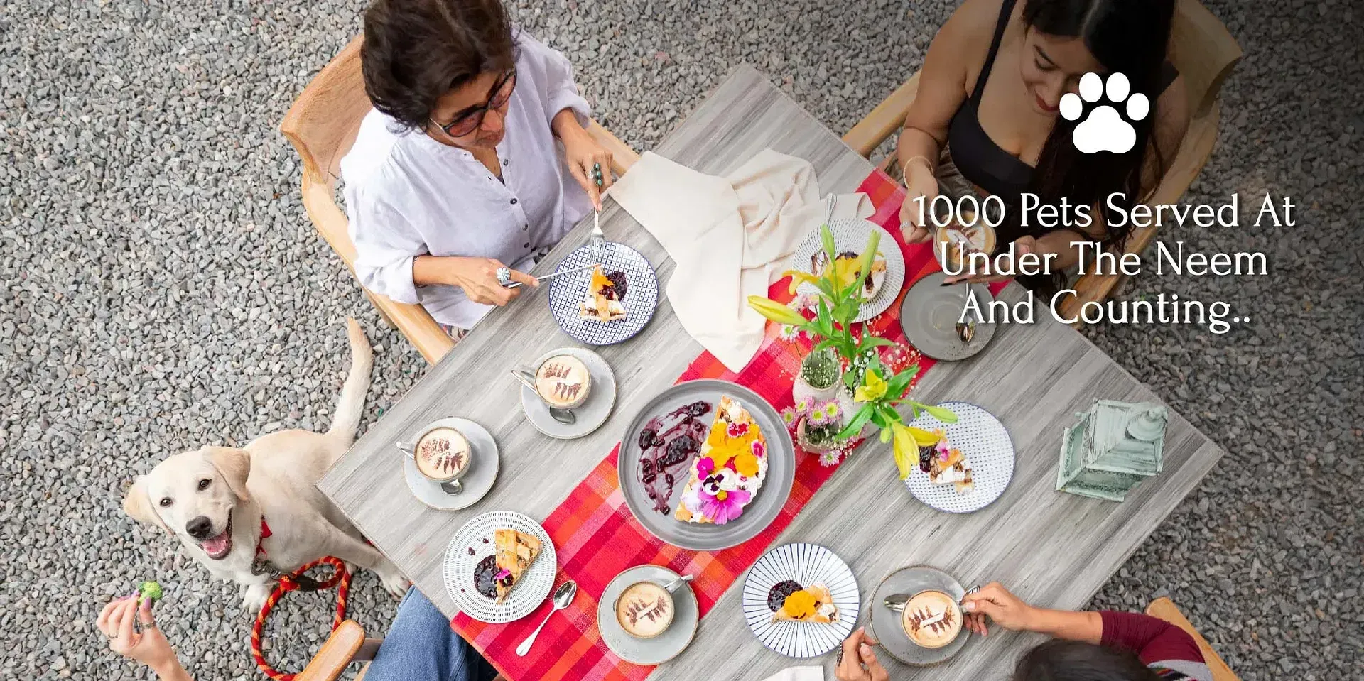 Overhead view of people and dogs seated around a table set with food outdoors at Karma Chalets.