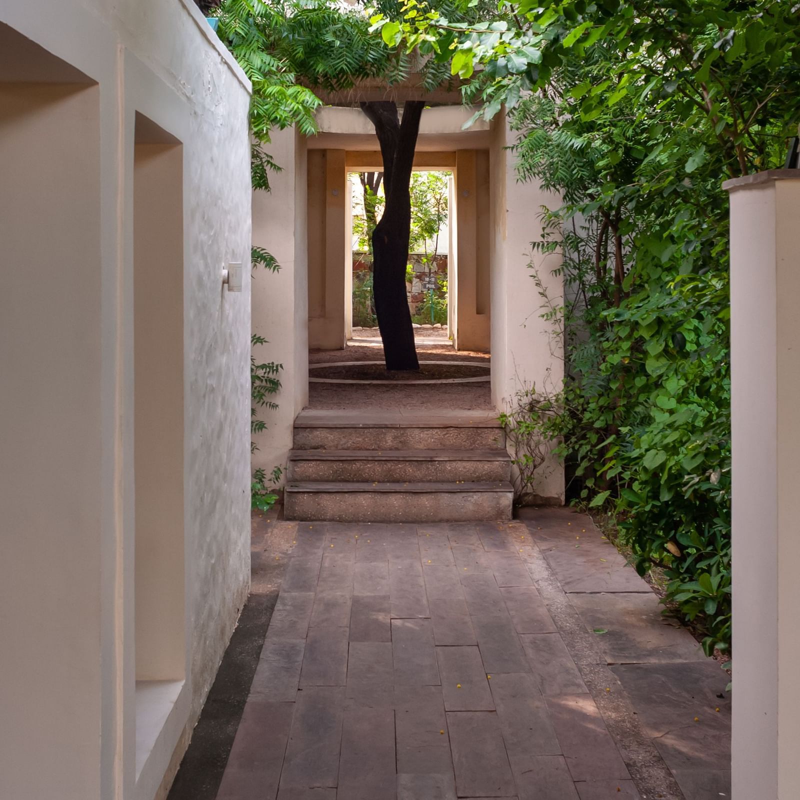 Property Landscapes of  Trees N Tigers, Sariska