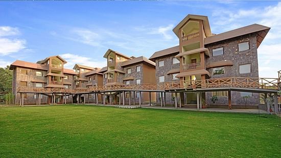 lawn