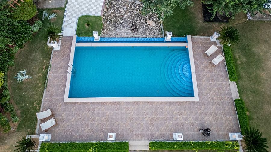 Aerial shot of the swimming pool at Valley by Grassfield with lounge chairs and plants on the side.