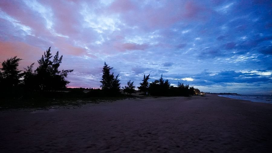 A view of a beach at dusk with trees around