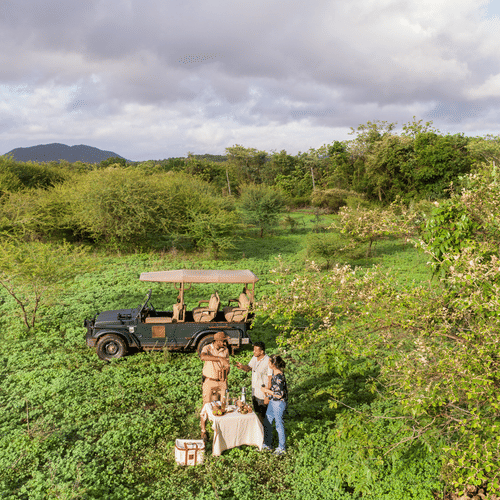 Visitors Enjoying a Break During the Safari