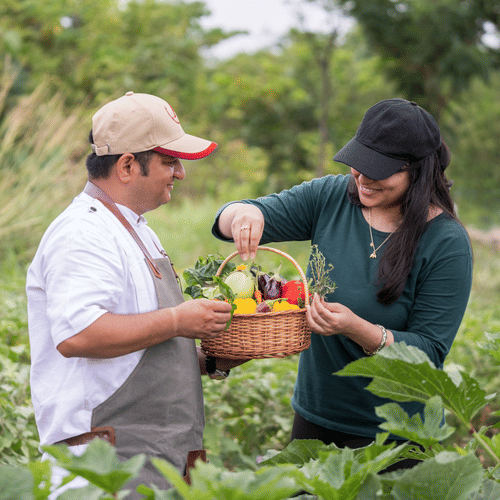 A Visitor Picking up Organic Vegetables at the Farm