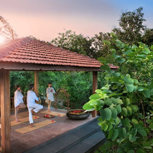 Tourists performing Yoga Under a Shed