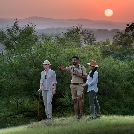 Travellers Hiking With the Guide