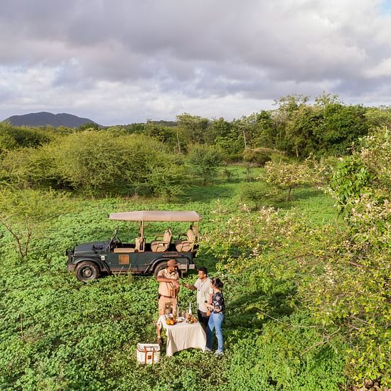 Visitors Enjoying a Break During the Safari