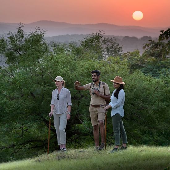 Tourist Enjoying Sunset on a Hiking Site