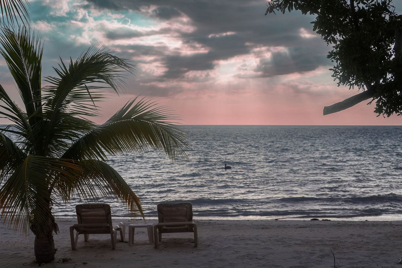 Two chairs sit on a sandy beach facing the ocean under a sky with dramatic clouds, framed by foliage.
