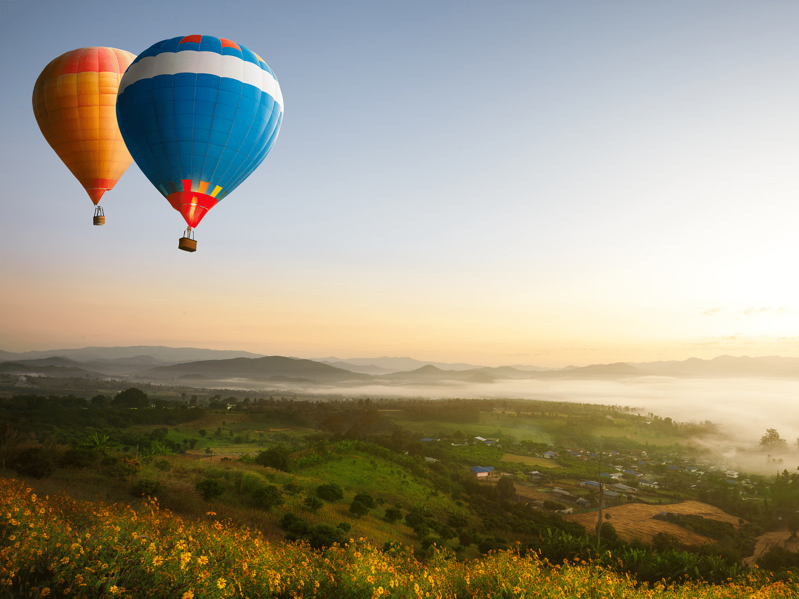 an image of a two Hot Air Balloons float over a vast landscape
