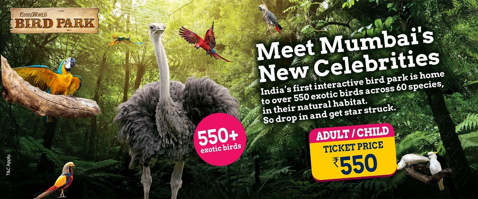  Promotional banner featuring exotic birds in a forest setting with ticket price details.