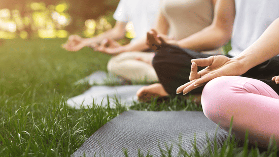 People practicing yoga outdoors in a peaceful green setting near Sabarmati Riverfront