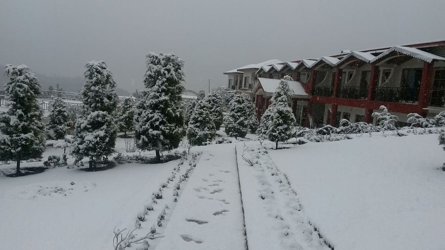 Ojaswi Resort, Chaukori Chaukori Snow Capped 5 Ojaswi Hotel and Resort in Chaukori