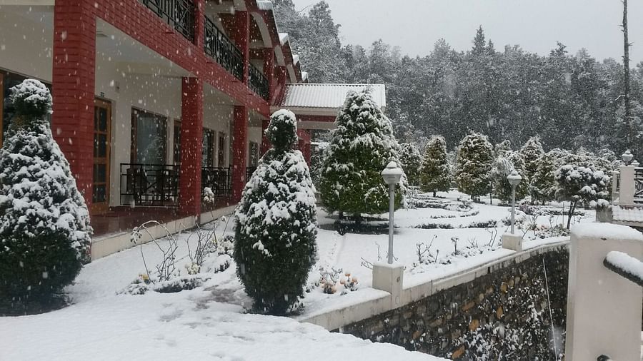 Ojaswi Resort, Chaukori Chaukori Snow Capped Ojaswi Hotel and Resort in Chaukori