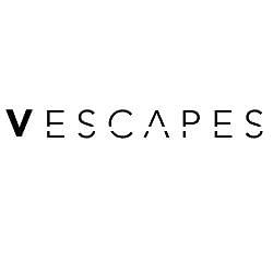 V escapes logo