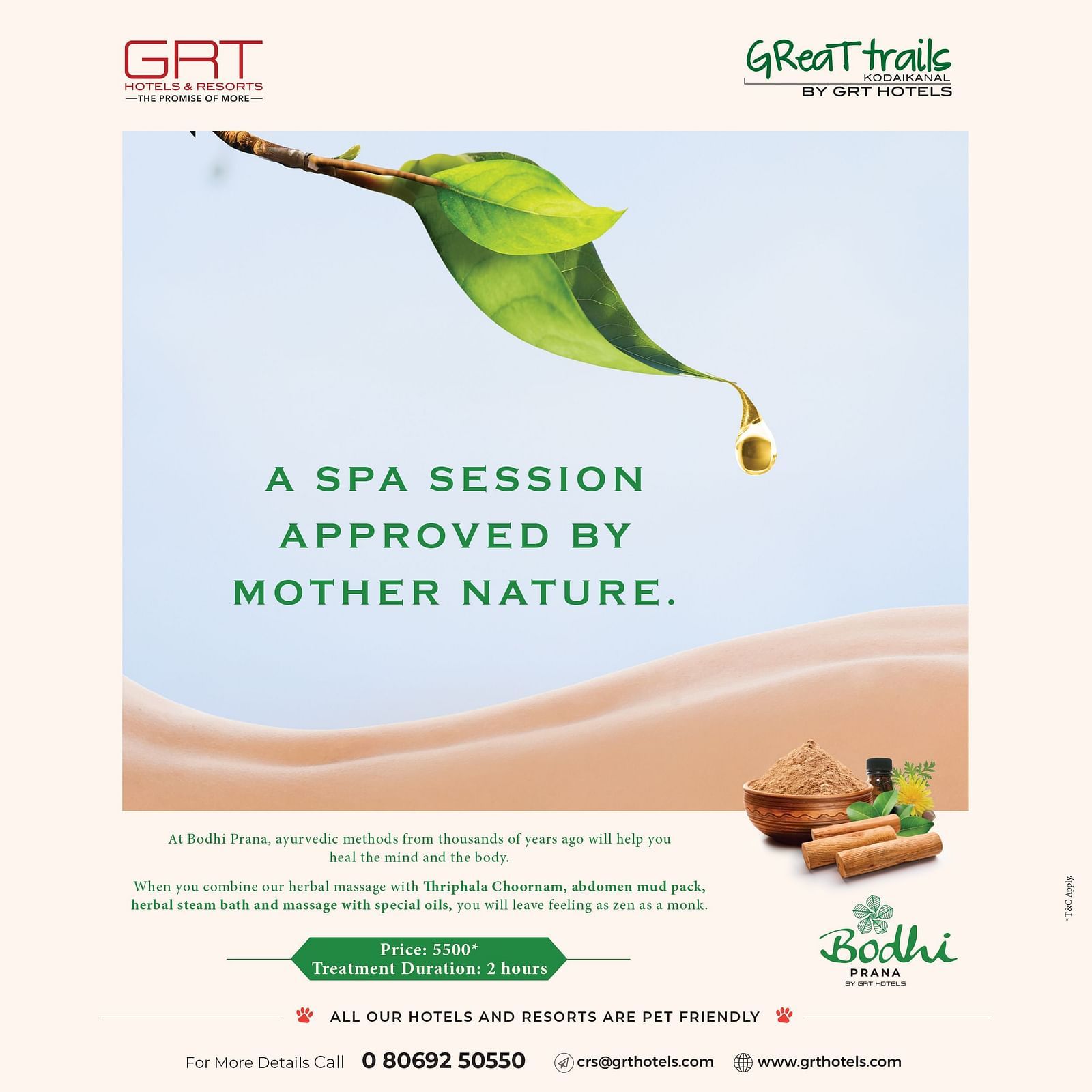 Bodhi Prana spa poster with herbal elements, green leaf, and ayurvedic treatment details set against the scenic backdrop.