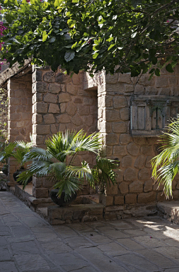 A image of a pathway with lush greenery on both sides