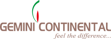 Gemini Logo