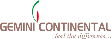 Gemini Logo