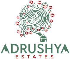 adruu shya new