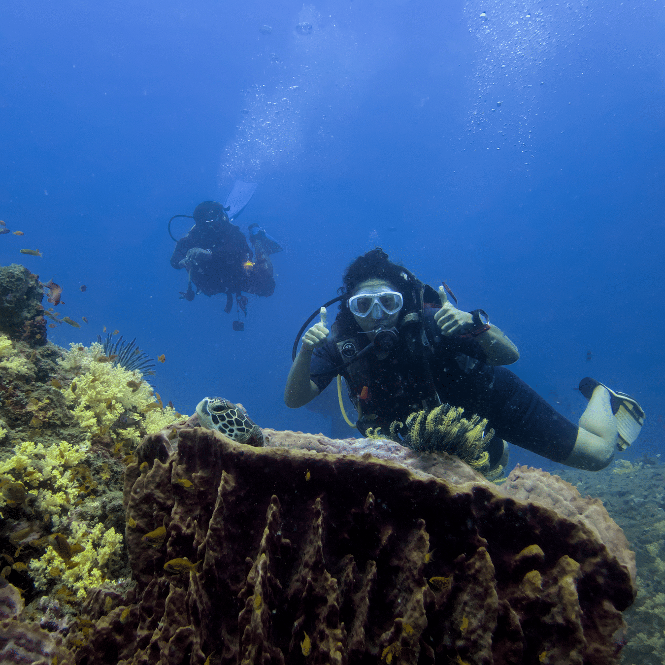 Scuba diver exploring coral reefs at Barefoot Scuba Resort in Havelock Island.